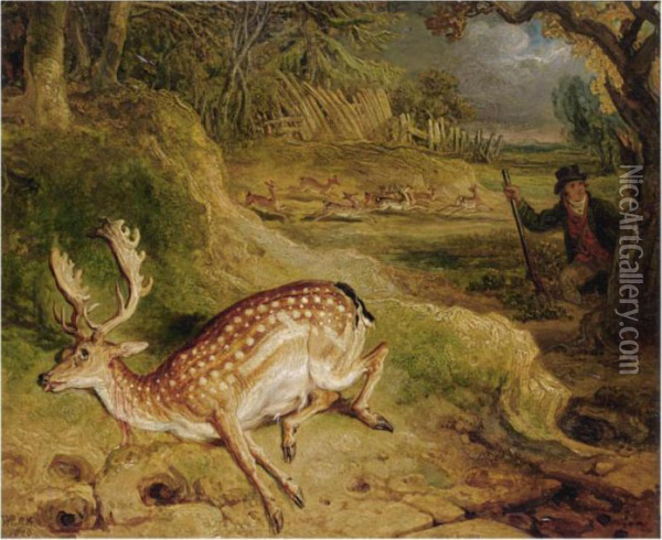 The Deer Stealer Oil Painting - James Ward