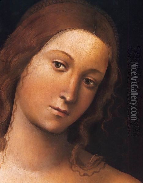 Venus (detail) Oil Painting - Lorenzo Costa