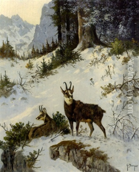 Gemsenpaar In Verschneiter Gebirgslandschaft Oil Painting - Georg Berger