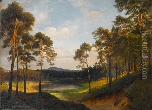 Extensive Wooded Landscape With A Lake In Thedistance Oil Painting - Eduard Gartner
