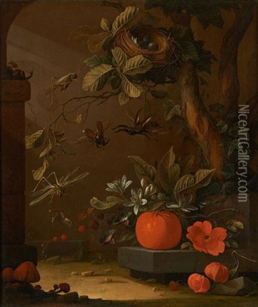 Nature Morte Aux Insectes, Escargot, Salamandre Et Champignons Oil Painting - Elias van den Broeck