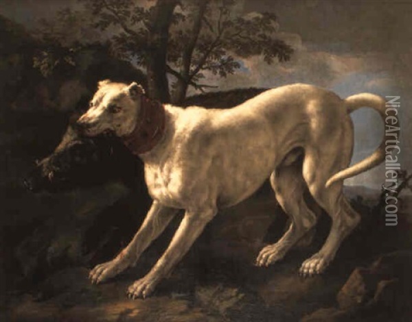 A Boar Attacked By A Boar-hound On A Hillside Oil Painting - Giovanni Agostino (Abate) Cassana