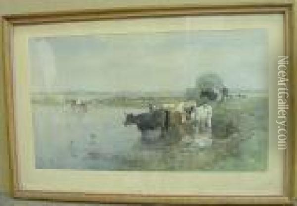 Cows Watering In The Early Morning Oil Painting - Willem Roelofs