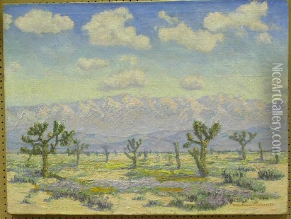 Springtime In Antelope Valley Desert Oil Painting - Walter Barron Currier