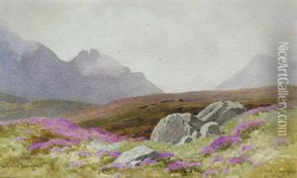 Slieve Binyon And Slieve Lamagan Oil Painting - Joseph Carey Carey