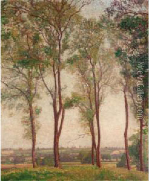 Trees Oil Painting - Spencer Frederick Gore