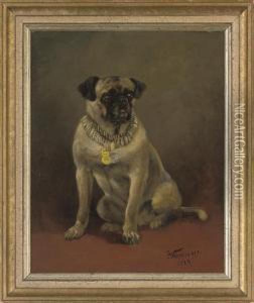 A Well Behaved Pug Oil Painting - Anton Weinberger