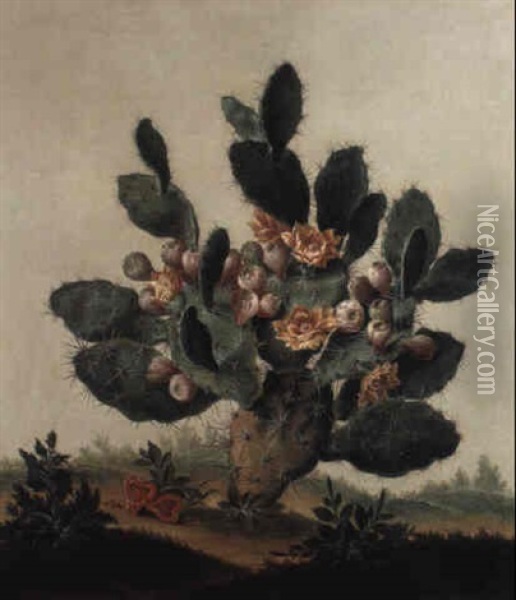 A Still Life Of A Cactus Oil Painting - Albert van der Eeckhout