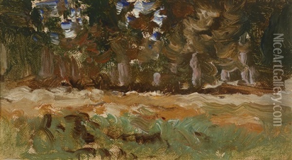 Kleine Landschaftsstudie Oil Painting - Theodor von Hoermann