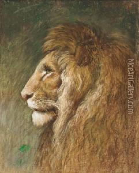 Study Of A Lion Oil Painting - Geza Vastagh
