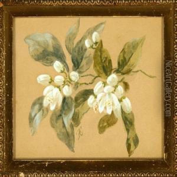 Two Flower Studies Oil Painting - Anthonie, Anthonore Christensen