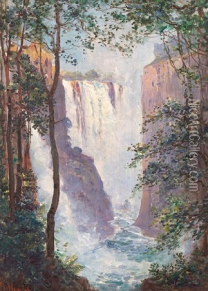 The Victoria Falls Oil Painting - Pieter Hugo Naude
