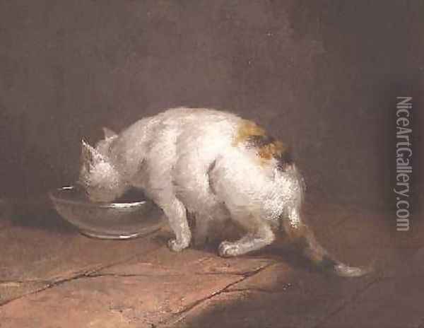 The Artists Cat Drinking Oil Painting - George Morland