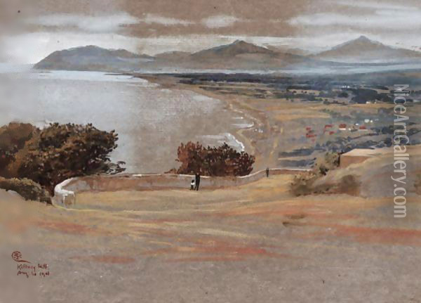 Killiney Hill, Ireland Oil Painting - Walter Crane