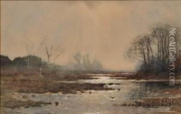 View Of Marsh In Mist Oil Painting - Petrus Paulus Schiedges