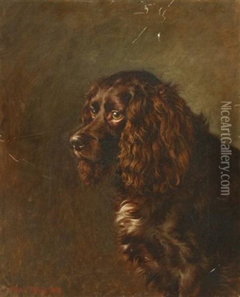 A Study Of A Spaniel Oil Painting - Frank Paton