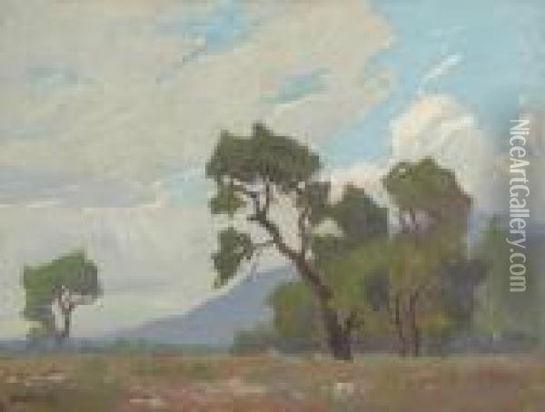 Grandeur Of The Clouds Oil Painting - Elmer Wachtel