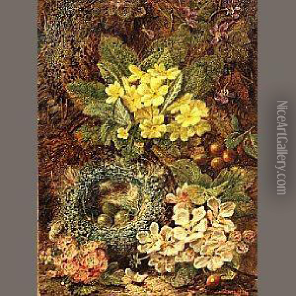 A Still Life With A Bird's Nest And Wildflowers On A Mossy Bank Oil Painting - Oliver Clare