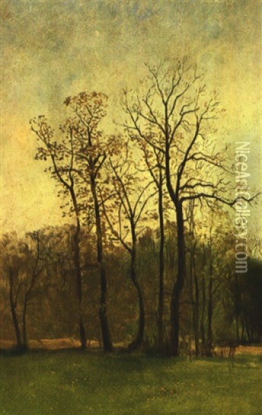 Herbstliche Park-/waldlandschaft Oil Painting - Karl Buchholz