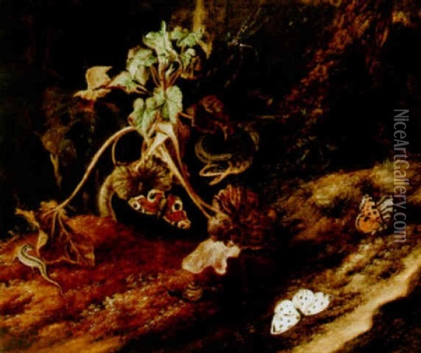 A Forest Floor Still Life With Butterflies, A Snake, A Dragonfly, A Snail And A Lizard Oil Painting - Otto Marseus van Schrieck