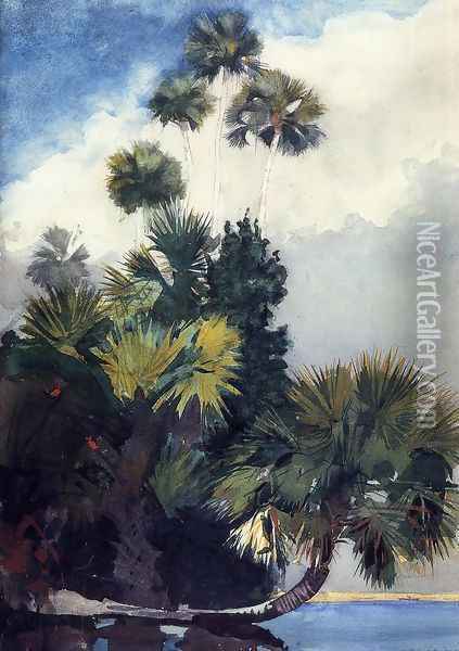 Palm Trees, Florida Oil Painting - Winslow Homer