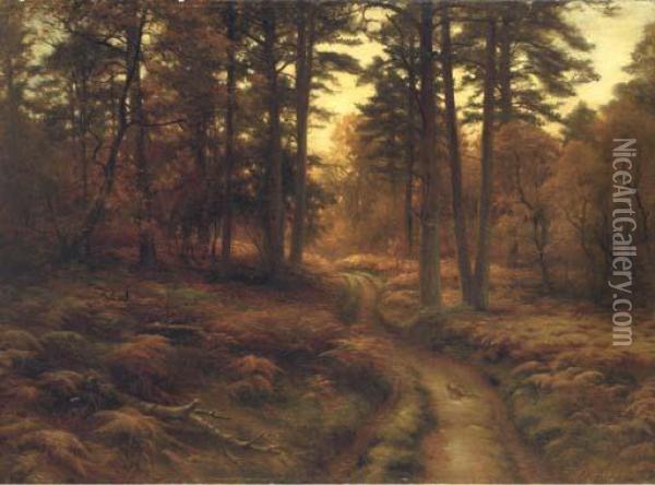 Evening. The Wild Woods Among Oil Painting - Joseph Farquharson