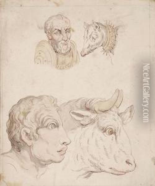 Studies Of The Heads Of A Bull Oil Painting - Thomas Rowlandson