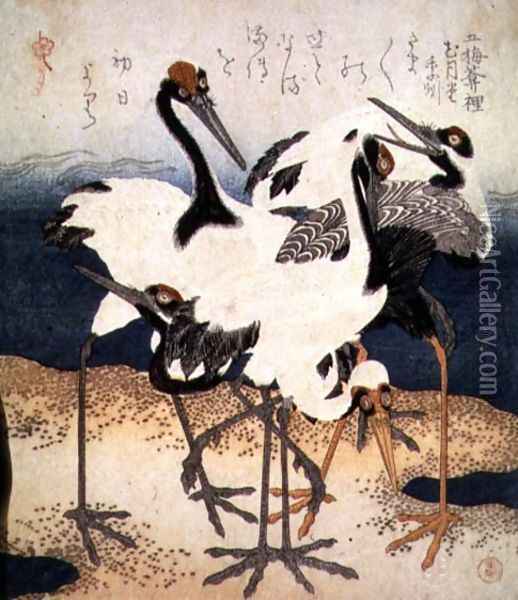 Five Cranes with White Feathers in Various Poses on a Spit of Sand, from Three Petals series, c.1816 Oil Painting - Kubo Shumman