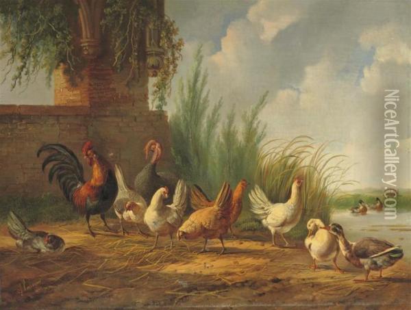 Poultry Near The Waterfront Oil Painting - Albertus Verhoesen
