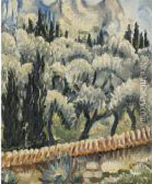 Olivenbaume, Mausanne, Cassis Oil Painting - Paul Kleinschmidt