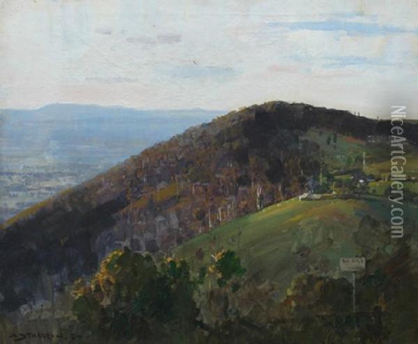 Dandenongs Landscape Oil Painting - Arthur Ernest Streeton