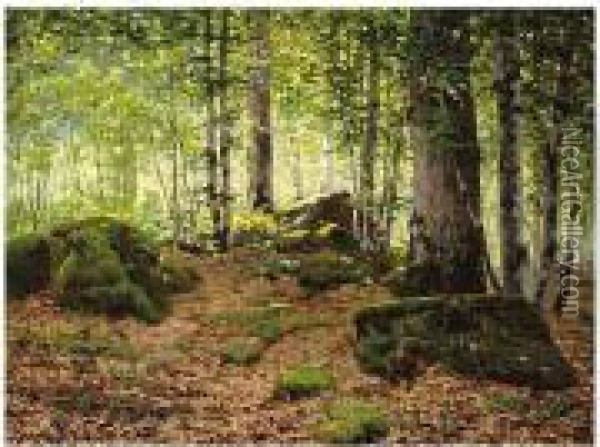 Woodland Landscape, Signed And Dated 1885, Oil On Canvas, 53 X 71 Cm.; 21 X 28 In Oil Painting - Jean Ferdinand Monchablon
