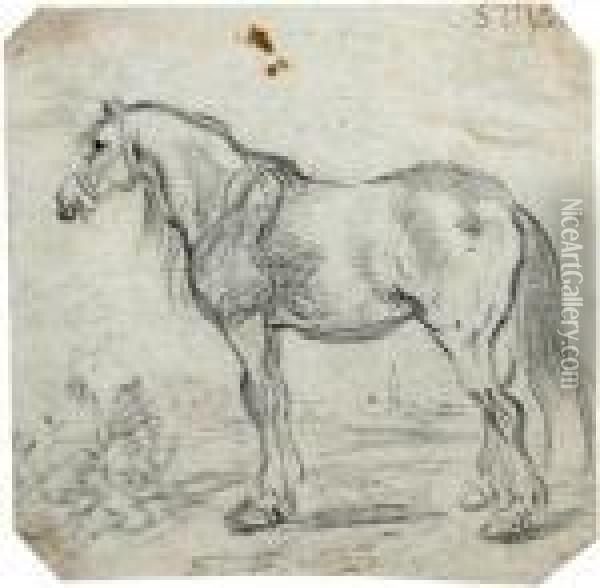 Study Of A Horse Oil Painting - Simon De Vlieger