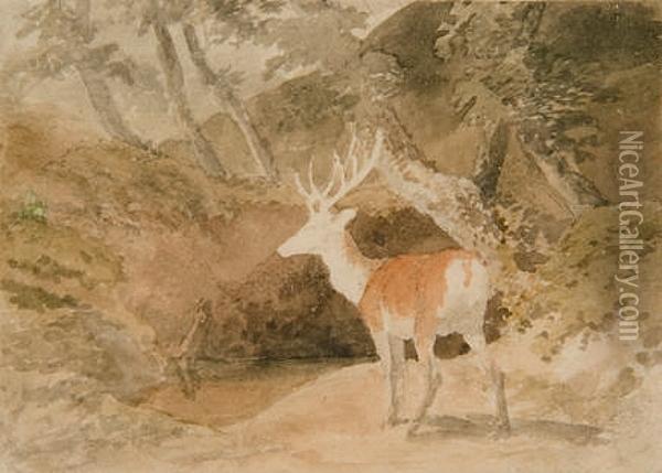 A Stag In A Glade Oil Painting - Robert Hills