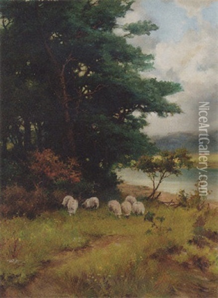 Sheep Grazing In A Wooded River Landscape Oil Painting - Reginald Smith