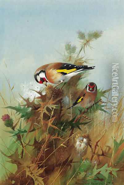 Goldfinches on thistledown Oil Painting - Archibald Thorburn