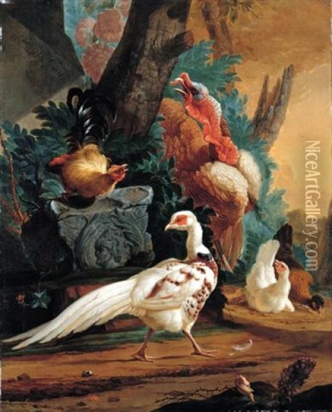 A White Pheasant, A Turkey And Farmyard Fowl In A Landscape Setting Oil Painting - Abraham Bisschop