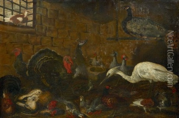 Dindons, Paons, Herons, Pintades, Faisans, Poules Et Coqs Oil Painting - Giacomo (Jacobus) Victors