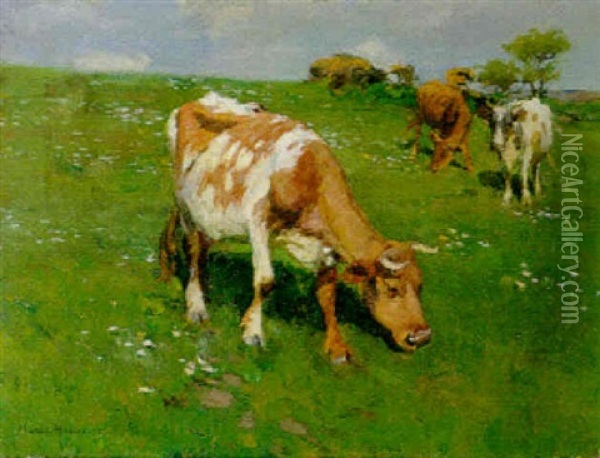 Spring In Cornwall Oil Painting - Harold Harvey