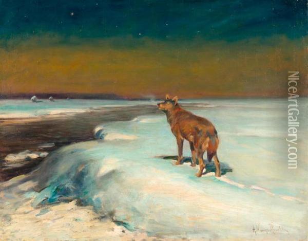 Winter Landscape With A Wolf. Oil Painting - Alfred Wierusz-Kowalski