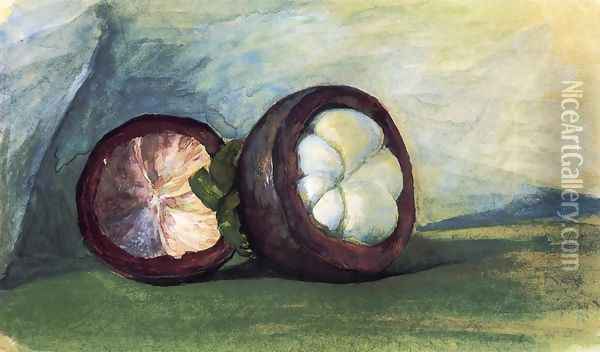 Fruit Of The Mangosteen Java Oil Painting - John La Farge