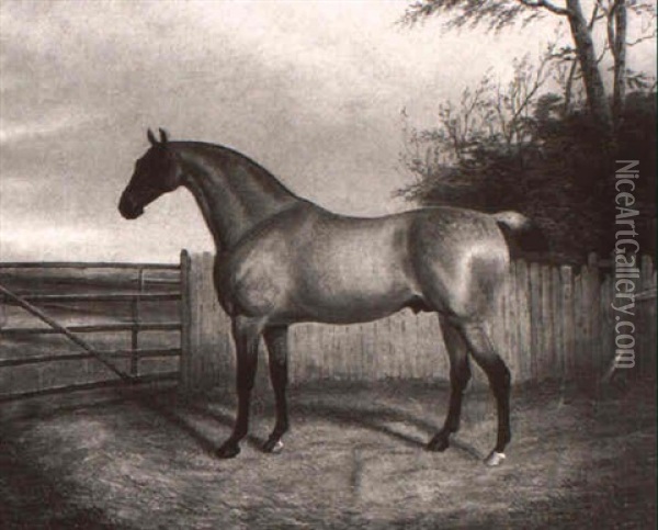 A Strawberry-roan Stallion In A Landscape Oil Painting - Albert Clark