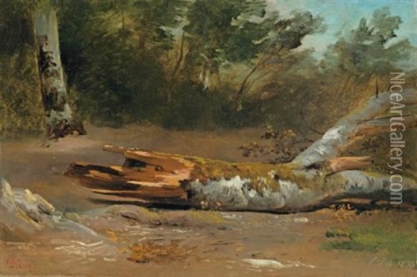 La Foret Avec Tronc (l'jsle) (forest With Tree Trunk (l'jsle)) Oil Painting - Francois Diday