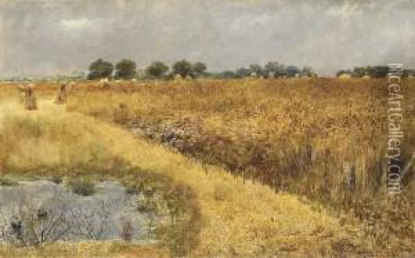 A Field Of Corn Oil Painting - William Davis
