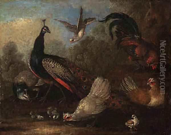 A Peacock, a peahen, chickens and a dove in a landscape Oil Painting - Marmaduke Cradock