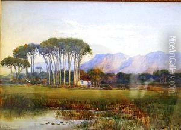 Rondebosch Common Oil Painting - Edith Francis Mary Struben