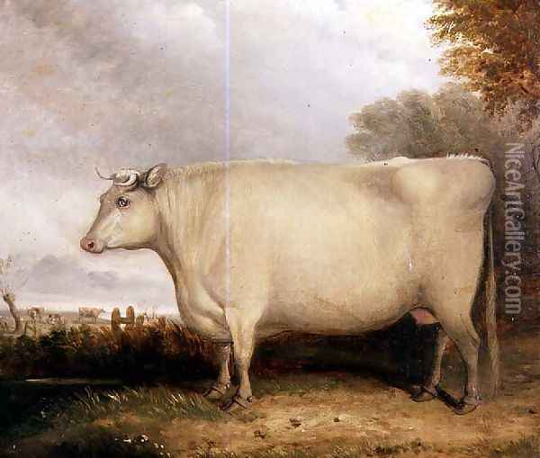 Portrait of a prize cow Oil Painting - John Vine