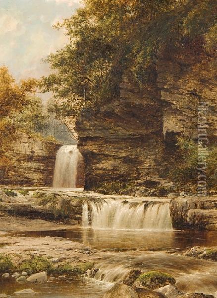 Falls In The Vale Of Neath, Northwales Oil Painting - William Henry Mander