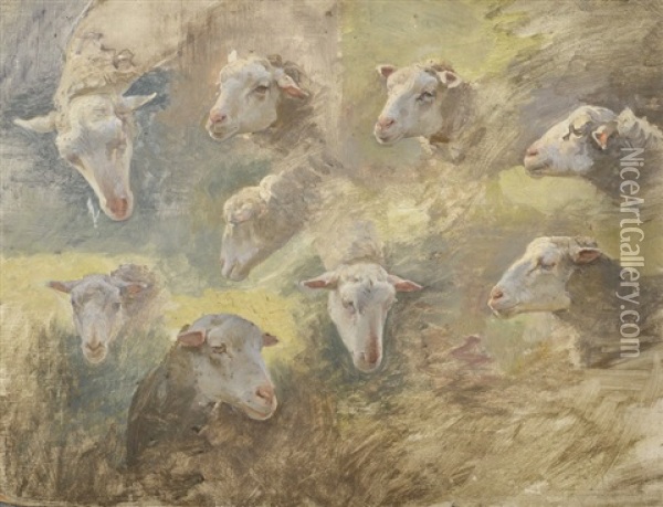 Etude De Moutons Oil Painting - Luigi Chialiva