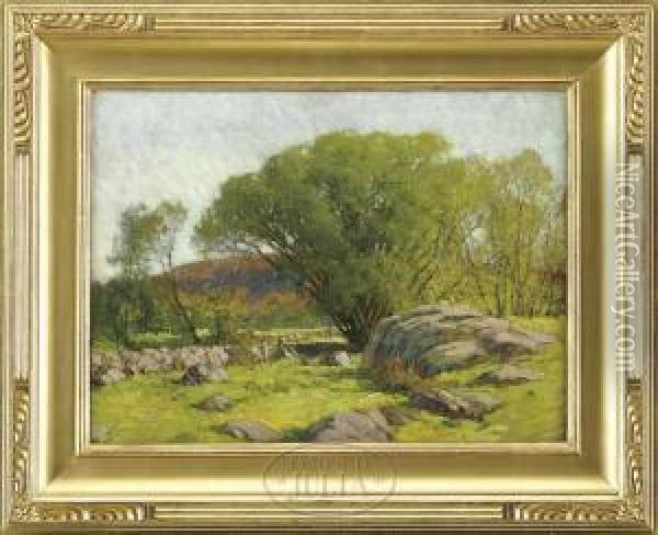 Cape Ann Pastureland Oil Painting - Frederick John Mulhaupt
